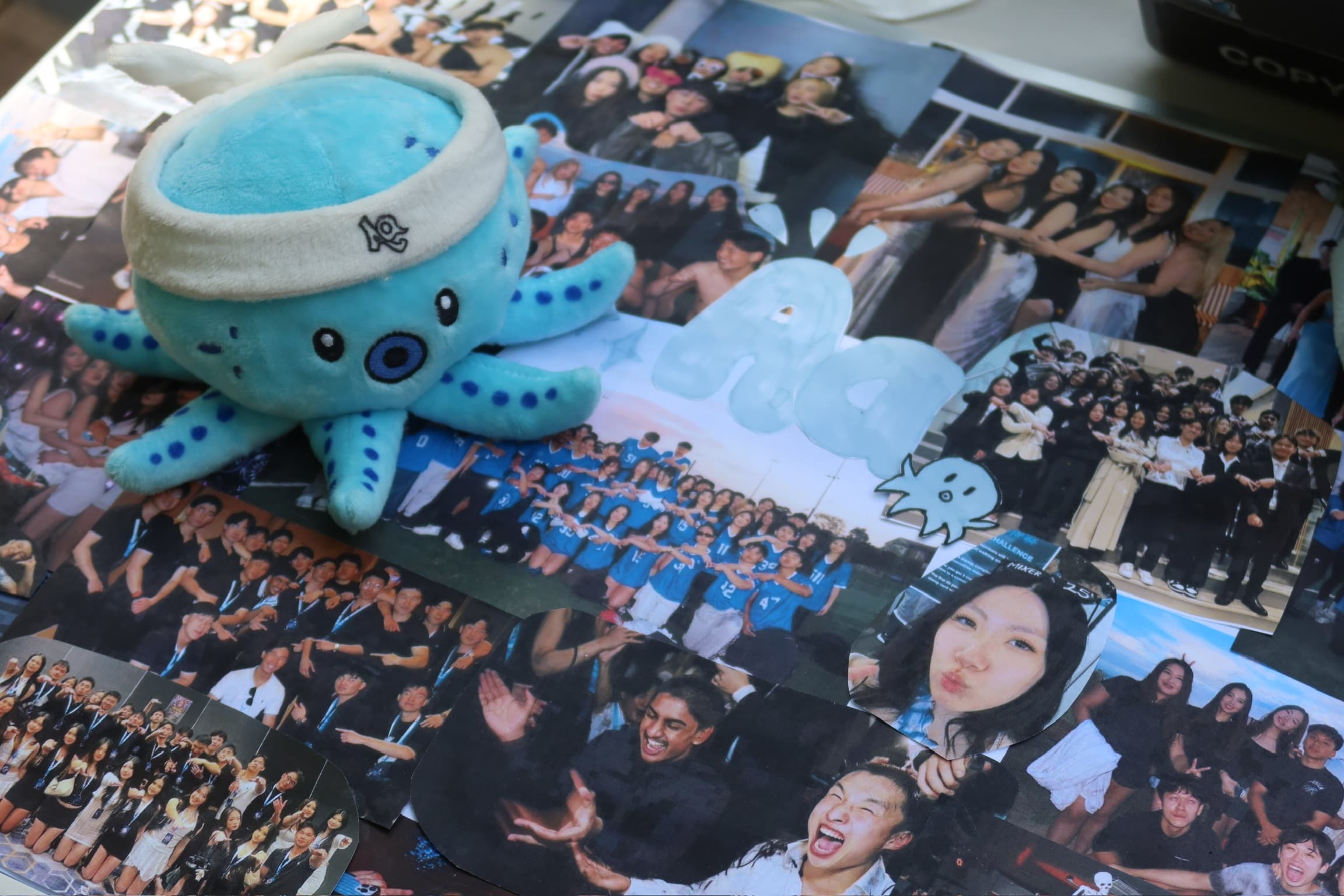 Australasian Association members